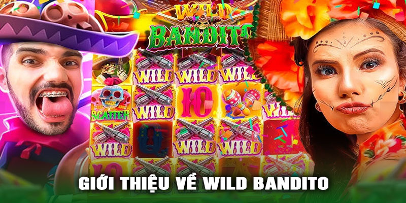 Giới Thiệu Về Wild Bandito