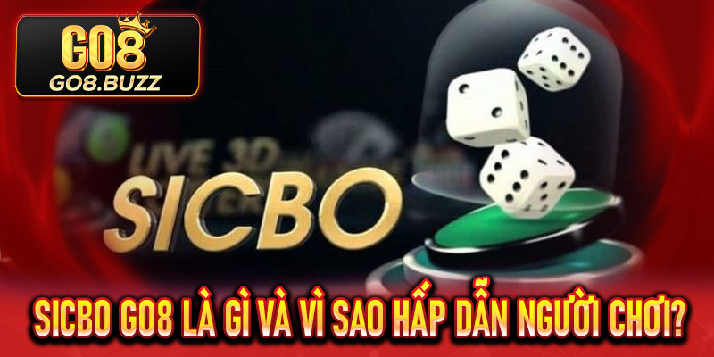 Sicbo Go8 là gì và vì sao hấp dẫn người chơi?
