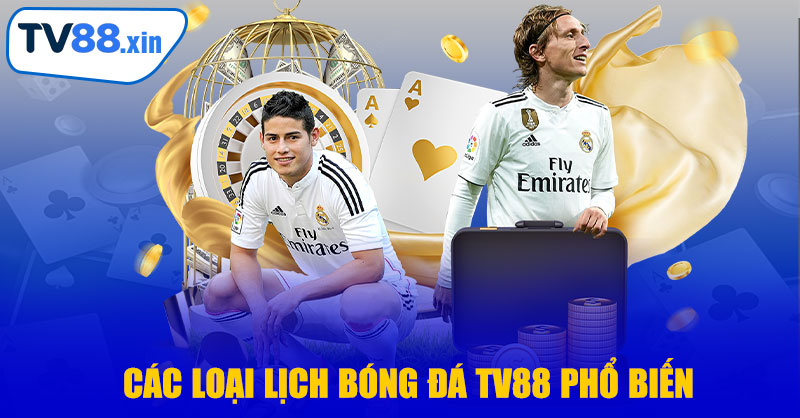 Các Loại Lịch Bóng Đá TV88 Phổ Biến