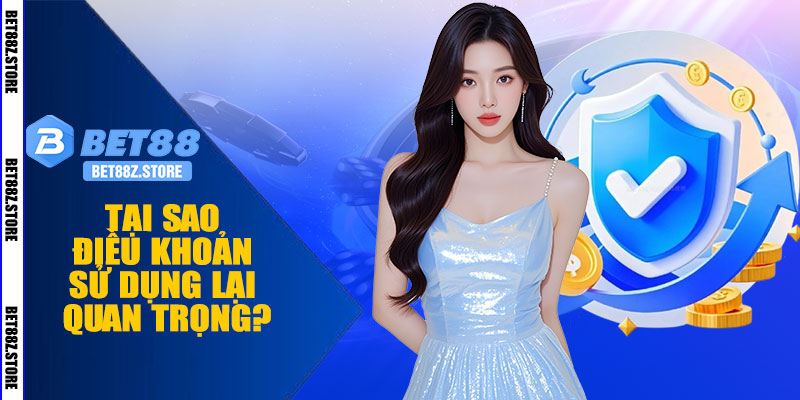 Tại Sao Điều Khoản Sử Dụng Lại Quan Trọng?