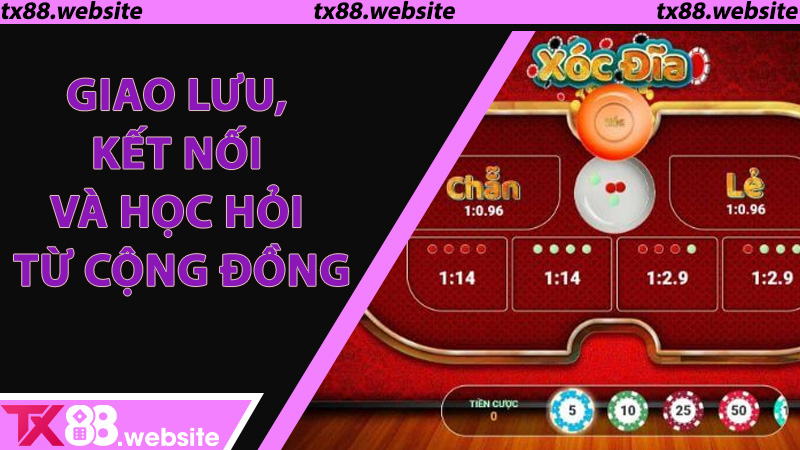 Giao lưu, kết nối và học hỏi từ cộng đồng