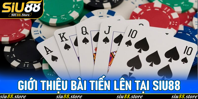Giới thiệu Bài Tiến Lên tại Siu88